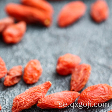 Ningxia Organisk Torkad Goji Berry med lågt pris